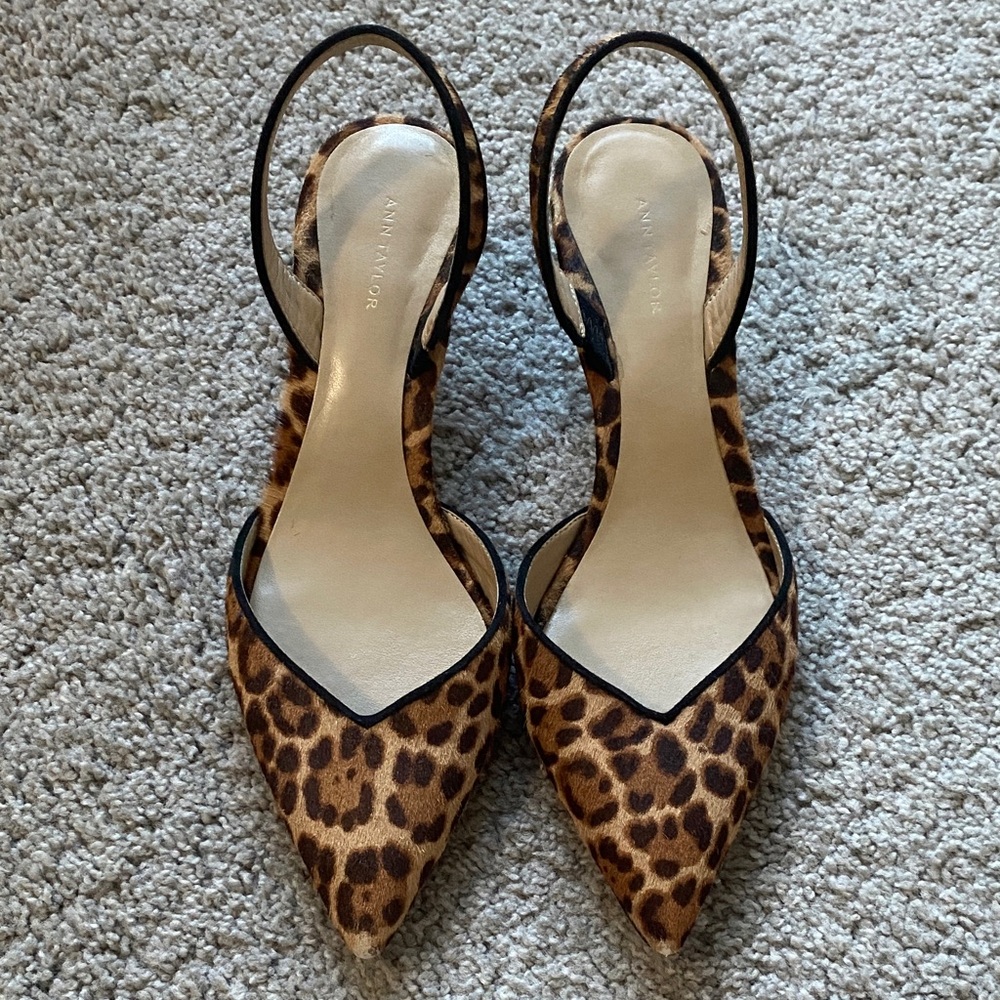 Ann Taylor Leopard-Print Pointed Slingback Pumps - Brown/Black